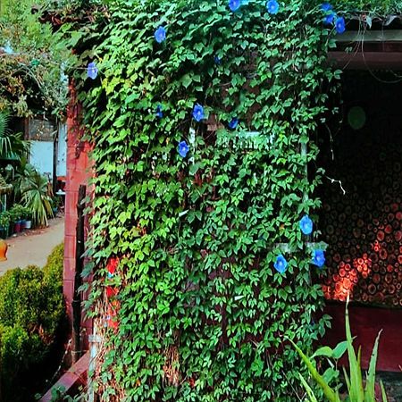 Panchobon Art Resort Shānti Niketan Zewnętrze zdjęcie
